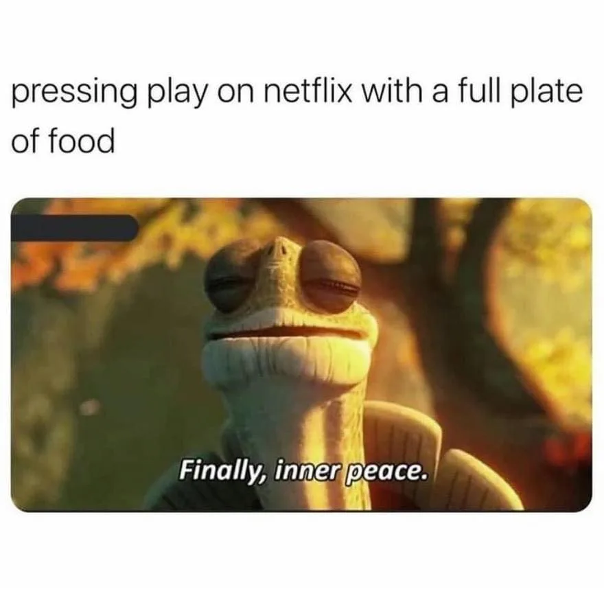 Netflix meme