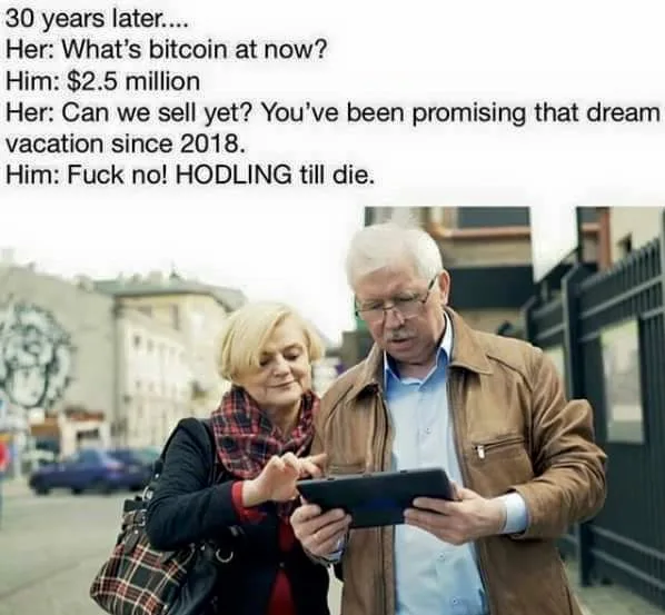 HODLing meme