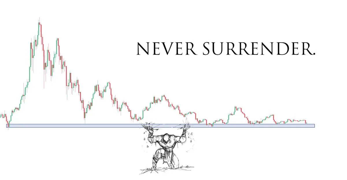 HODLing meme