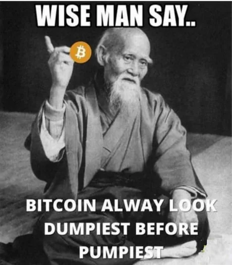 HODLing meme