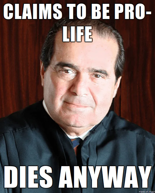 pro-life meme