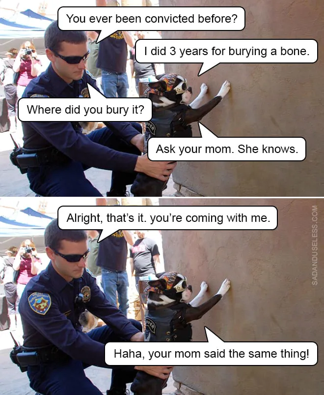bone meme