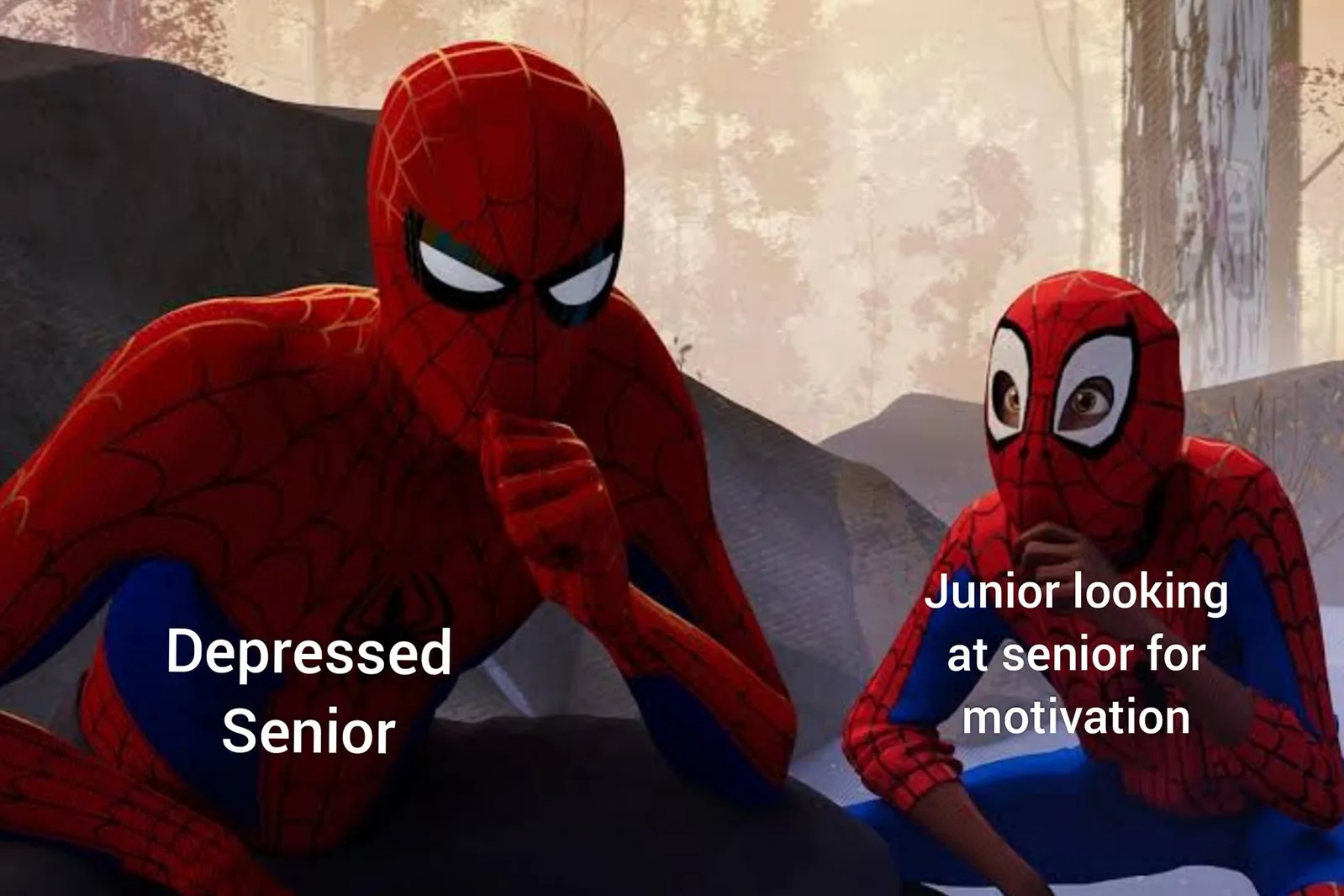 role model meme