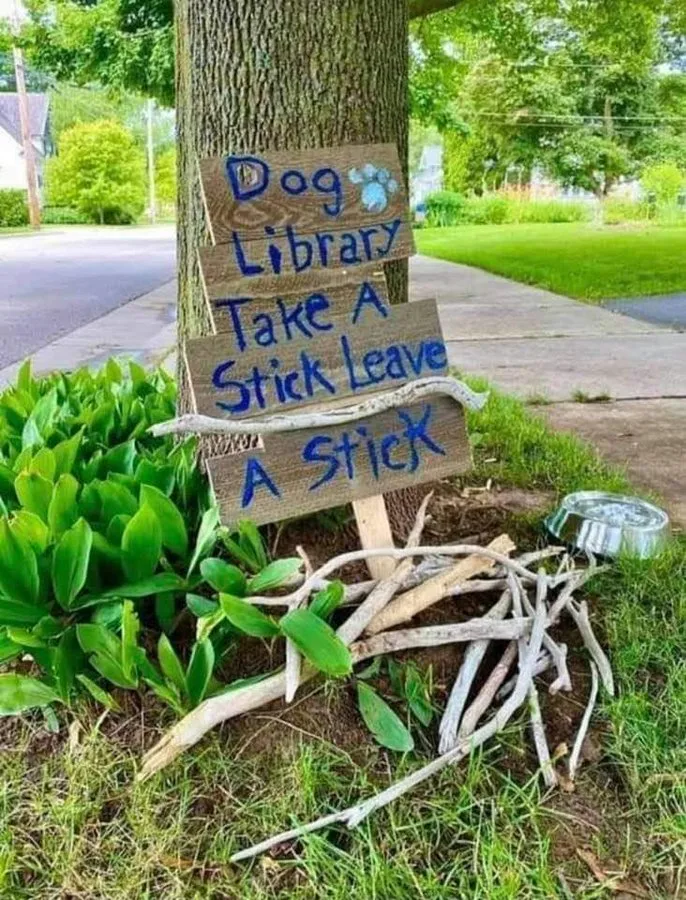 library meme