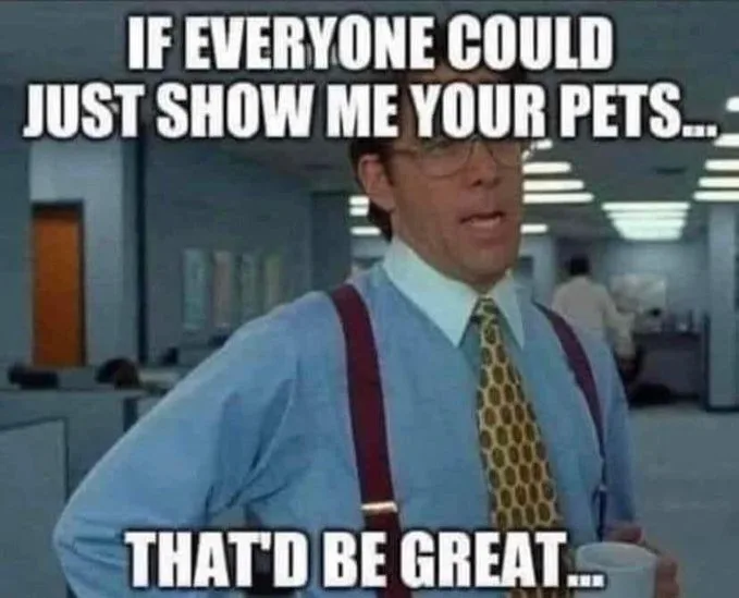 pet meme