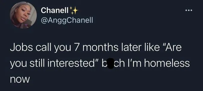 job application meme