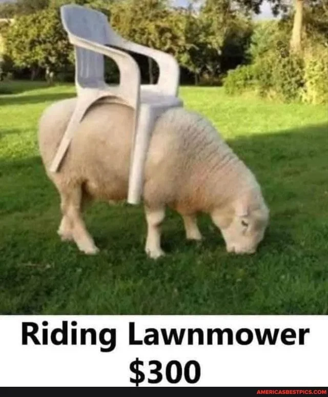 riding lawnmower meme