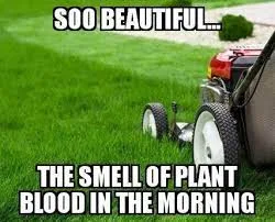 mowing the lawn meme