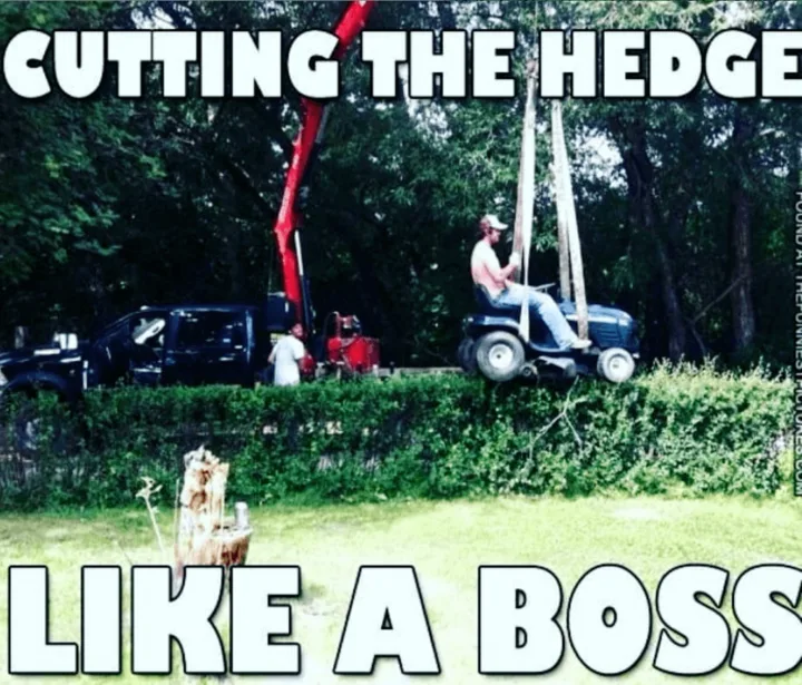 riding lawnmower meme
