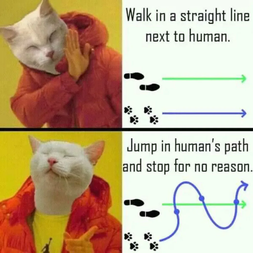 walking meme