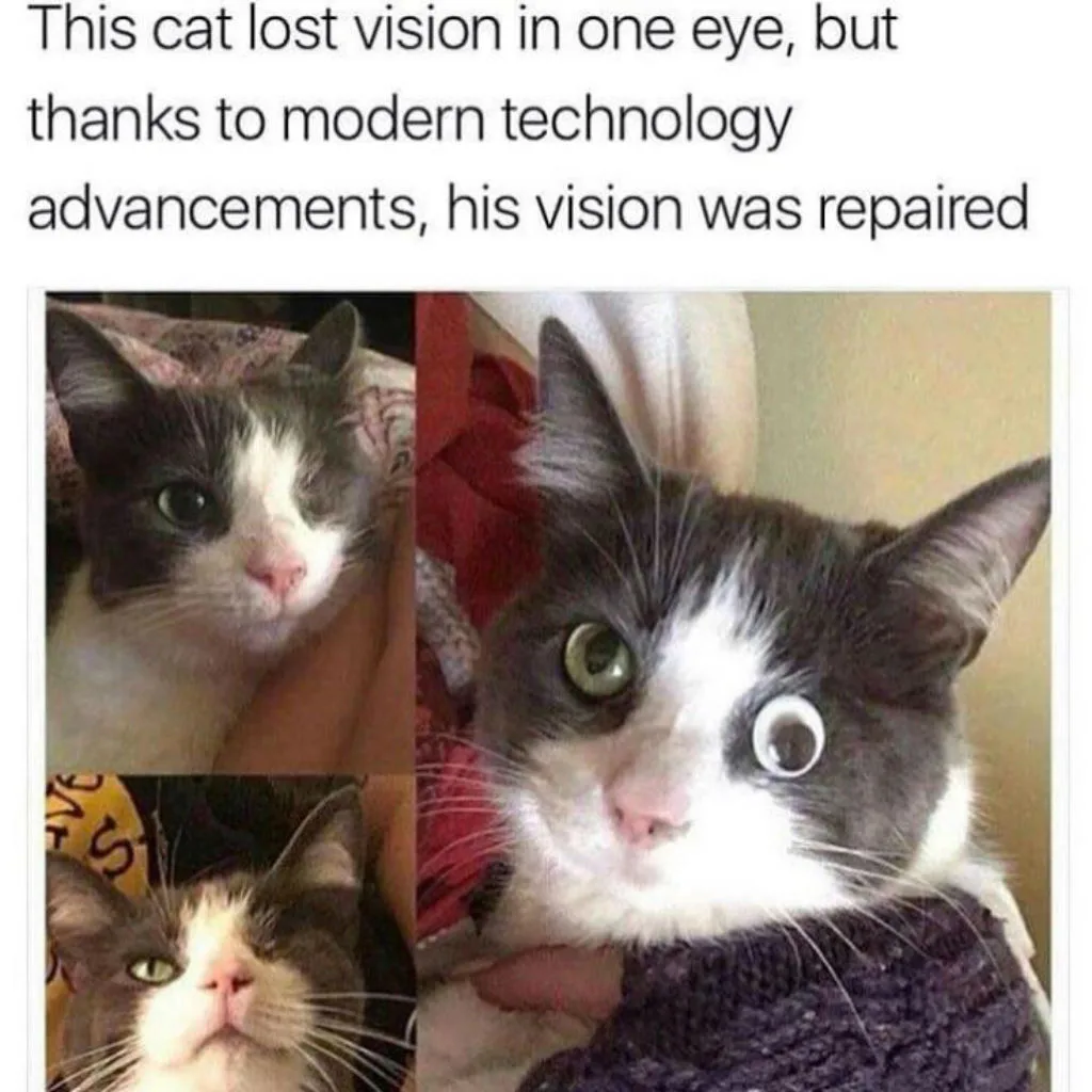 prosthesis meme
