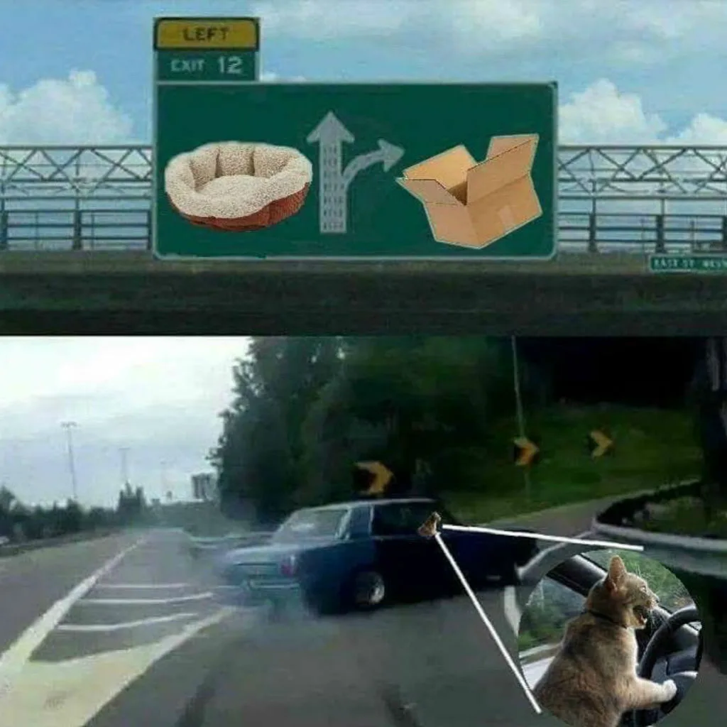 Cardboard meme