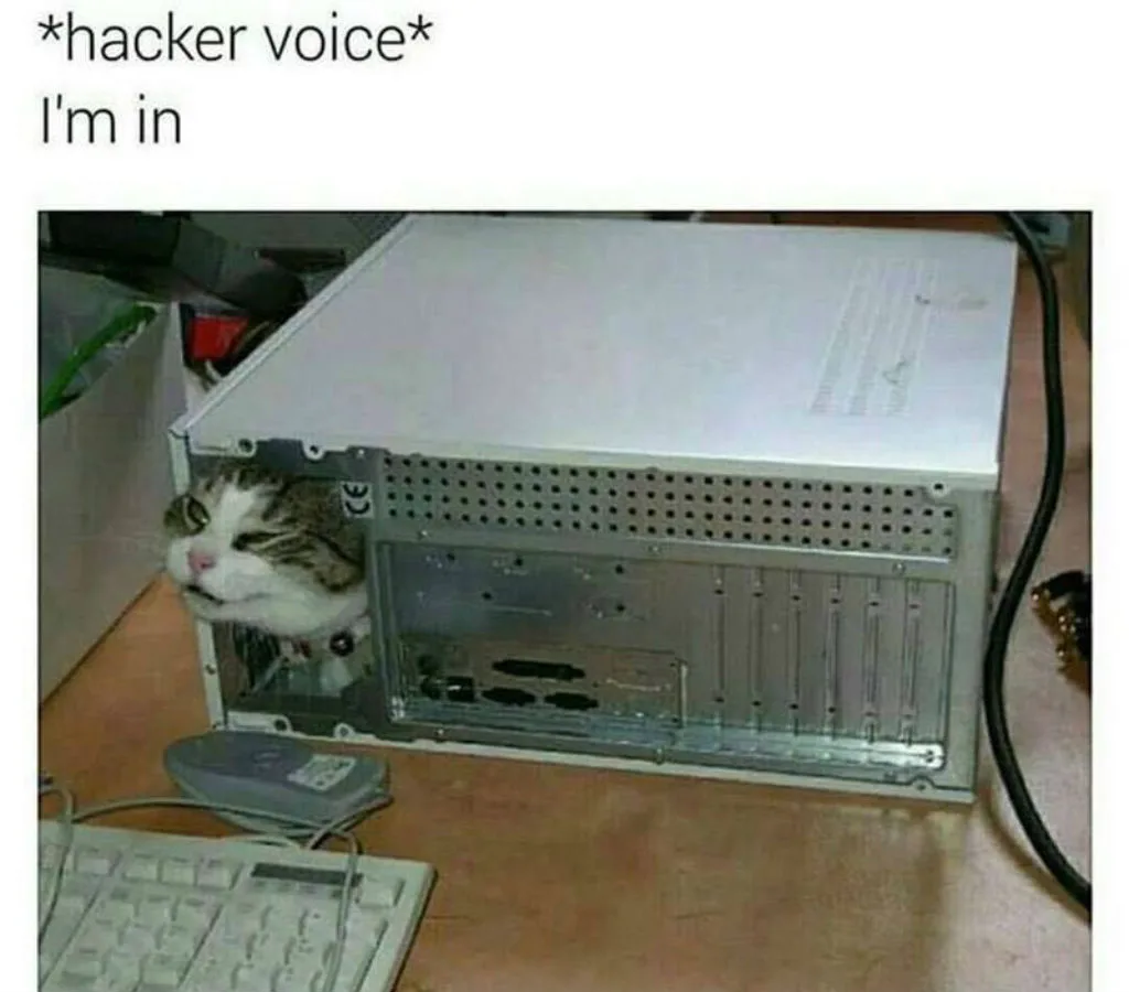 hacker meme