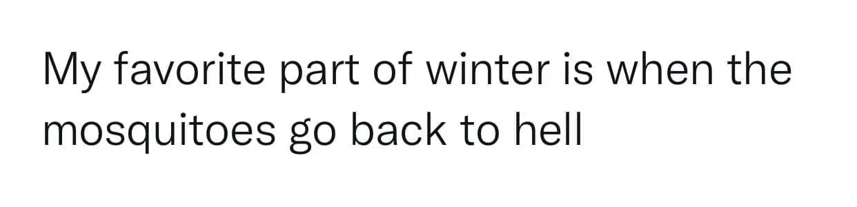 winter meme