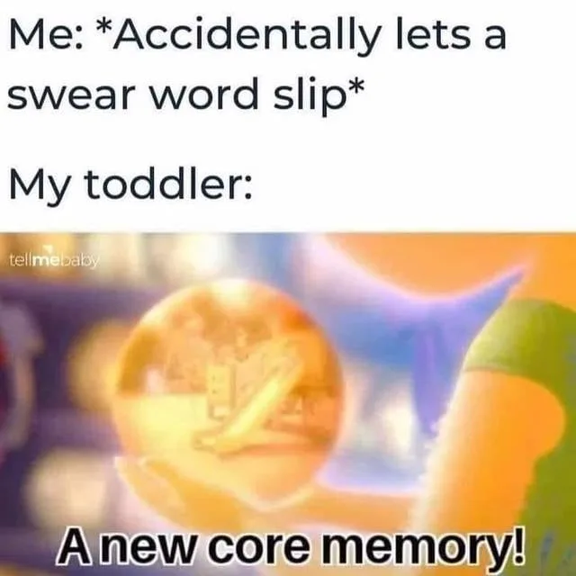 swear word meme