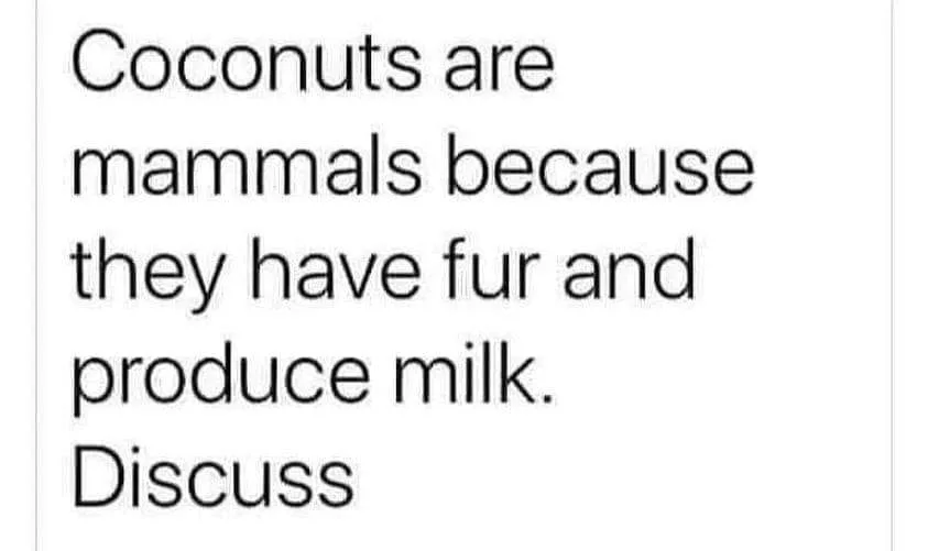 fur meme