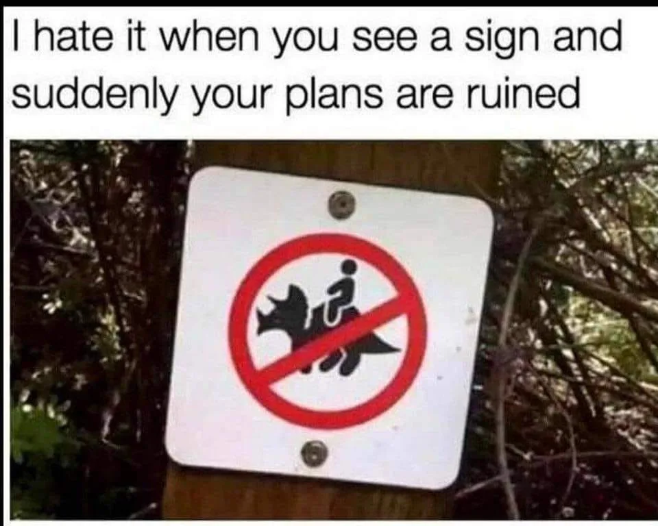 plan meme