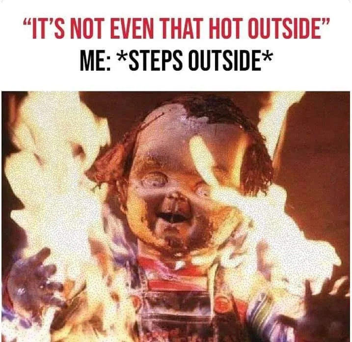 summer meme