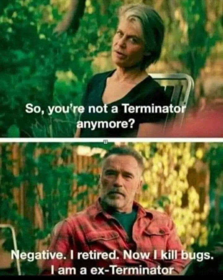 Arnold Schwarzenegger meme