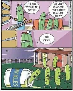pickle meme