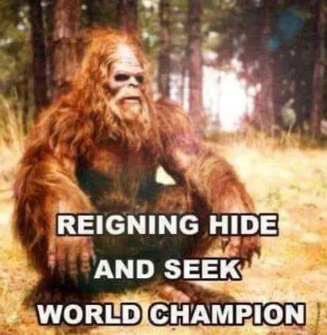 Bigfoot meme