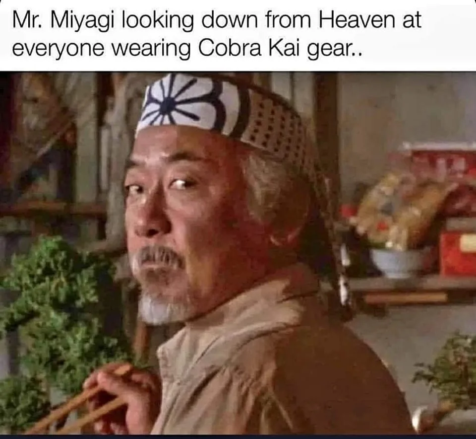 karate meme