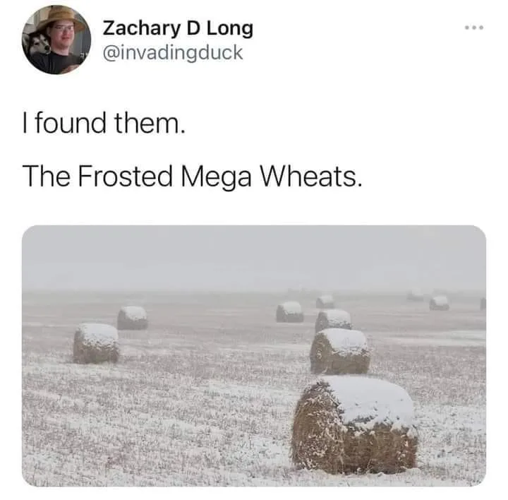 Shredded wheat meme
