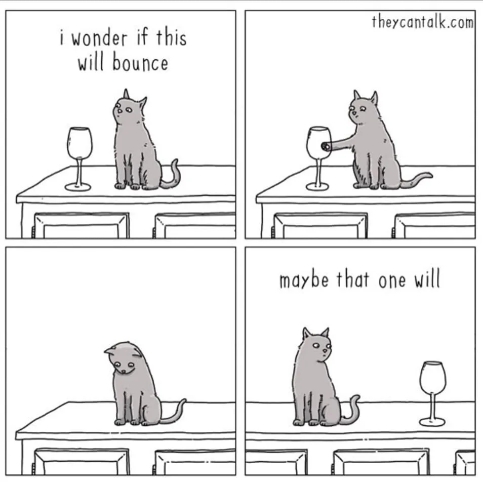 gravity meme