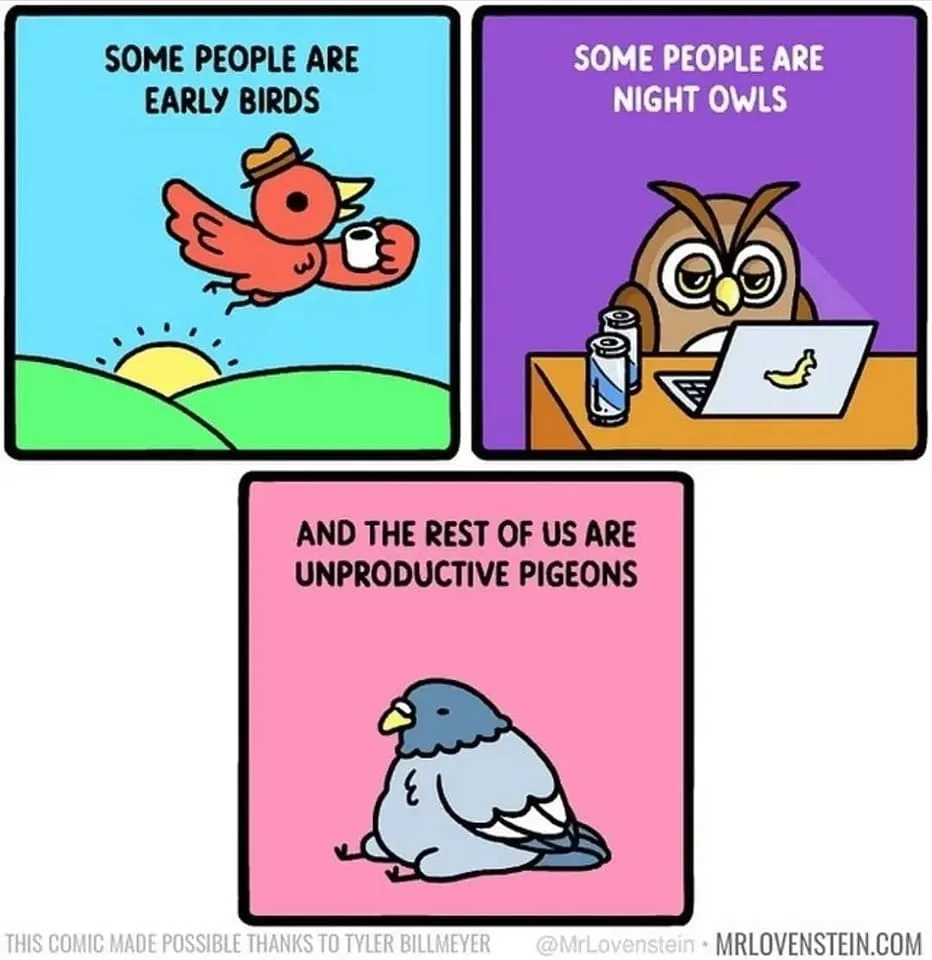 night owl meme