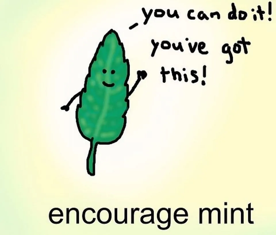 mint meme