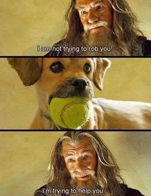 fetch meme