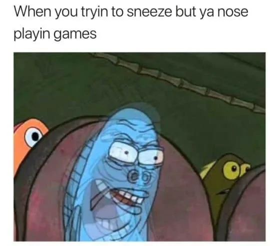 sneeze meme