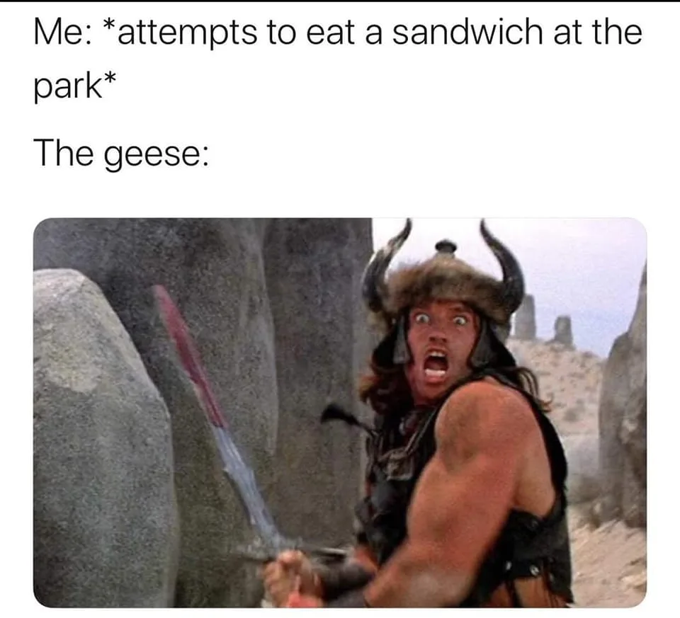 goose meme