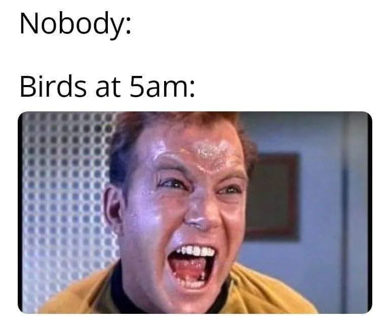 waking up early meme