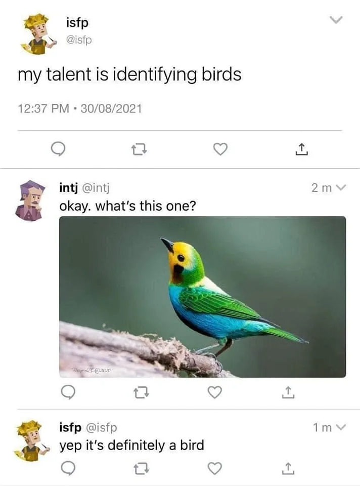 birding meme