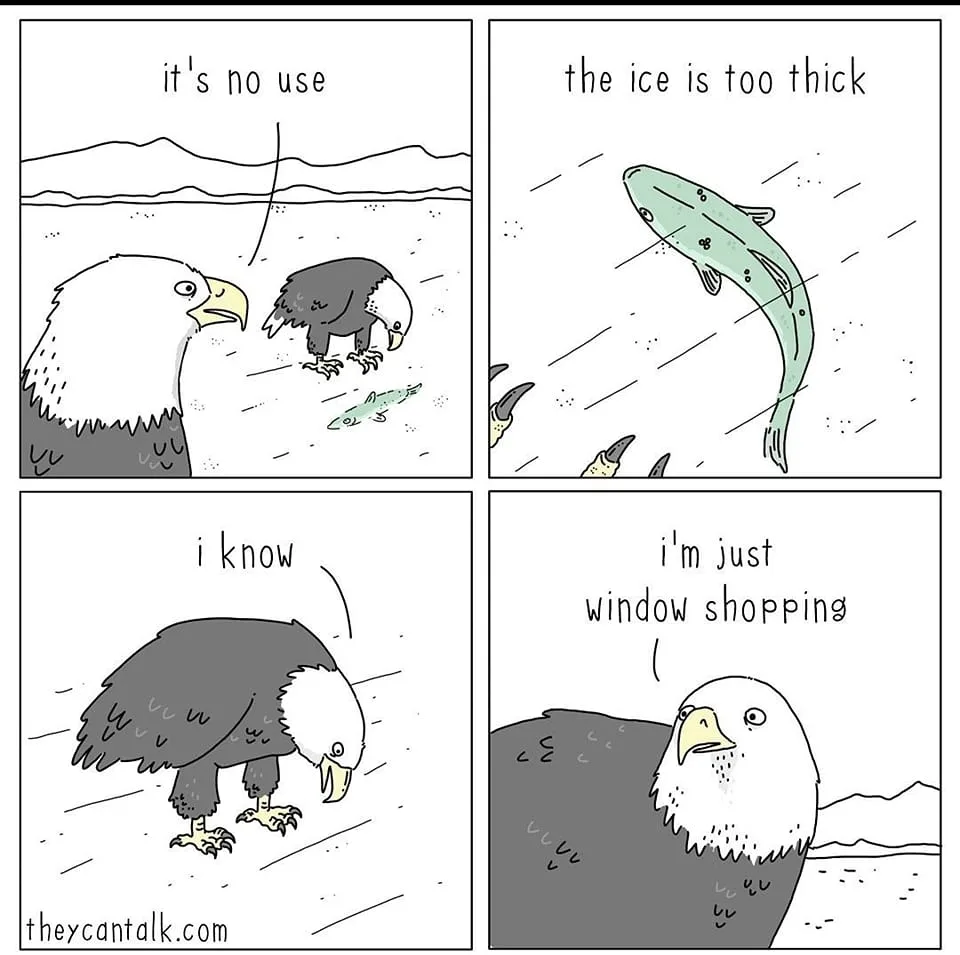 shopping meme