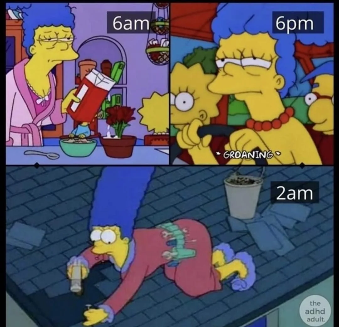 night owl meme