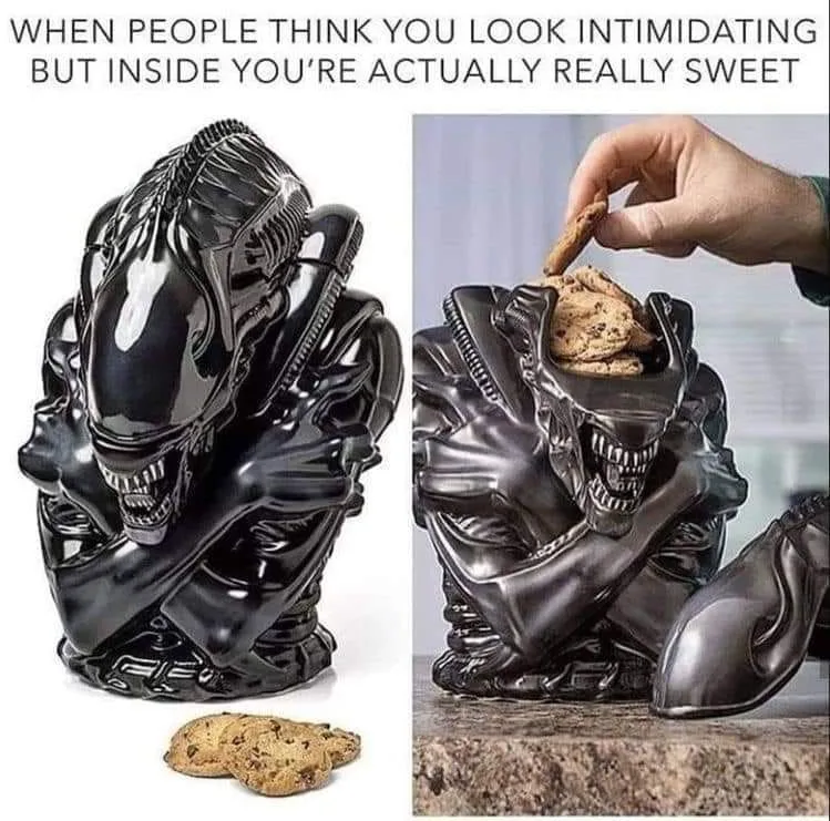 cookie meme
