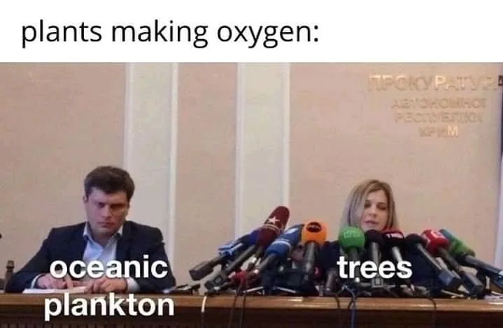 oxygen meme
