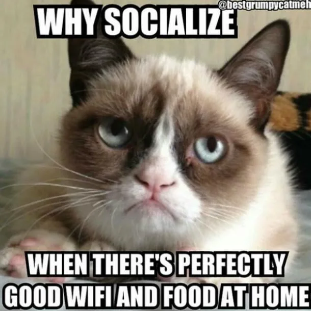 introvert meme