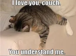 sofa meme