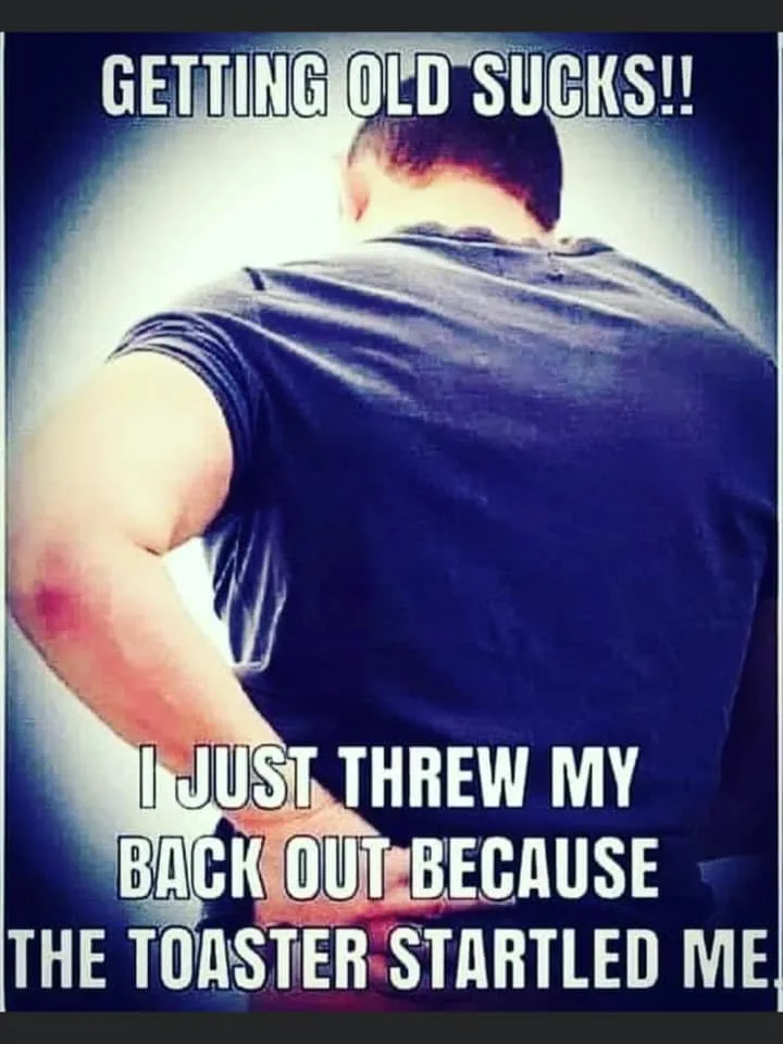 toaster meme