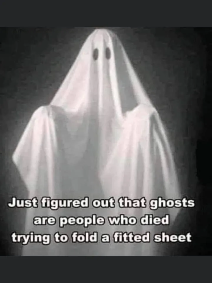 bedsheet meme