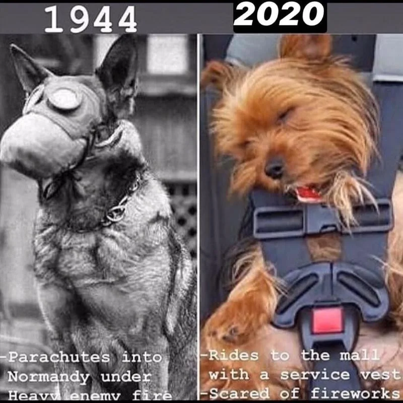 masculinity meme