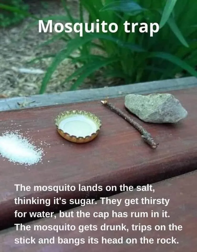 mosquito meme