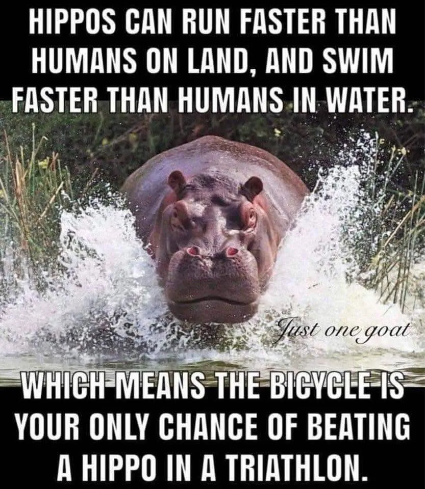 running meme