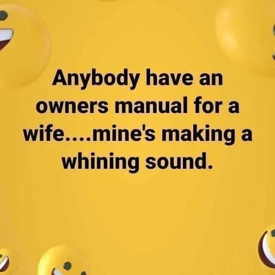 instruction manual meme