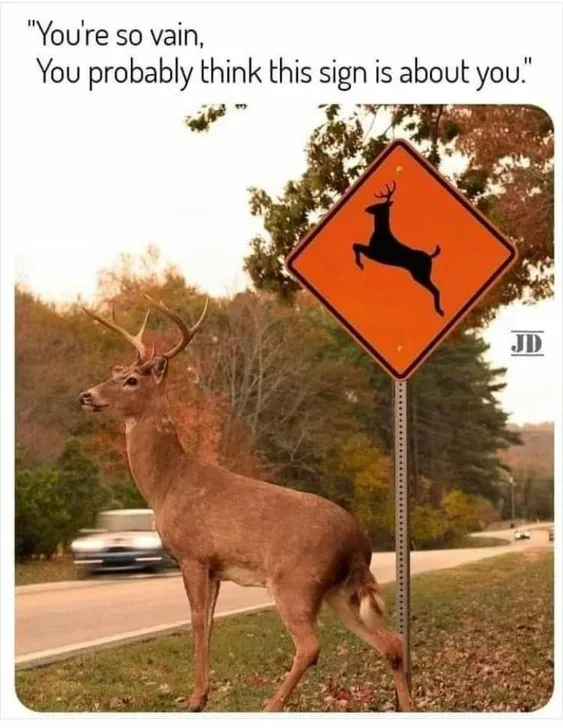 deer meme