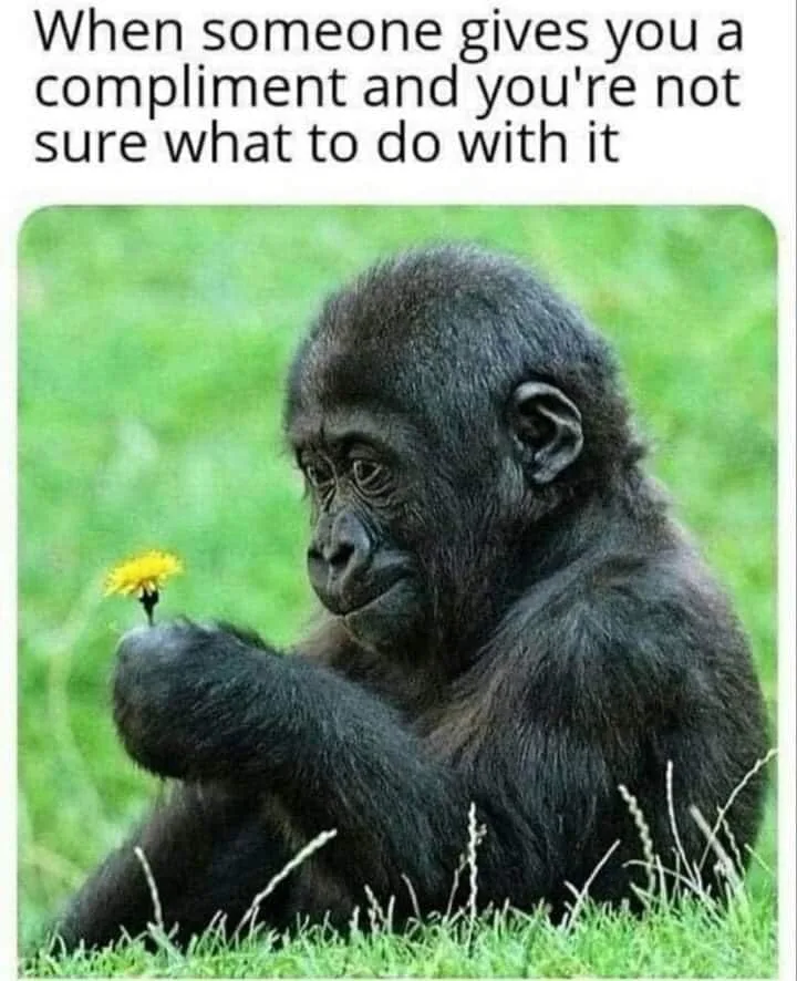 compliment meme