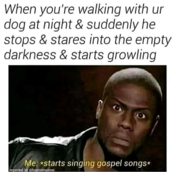 walking the dog meme